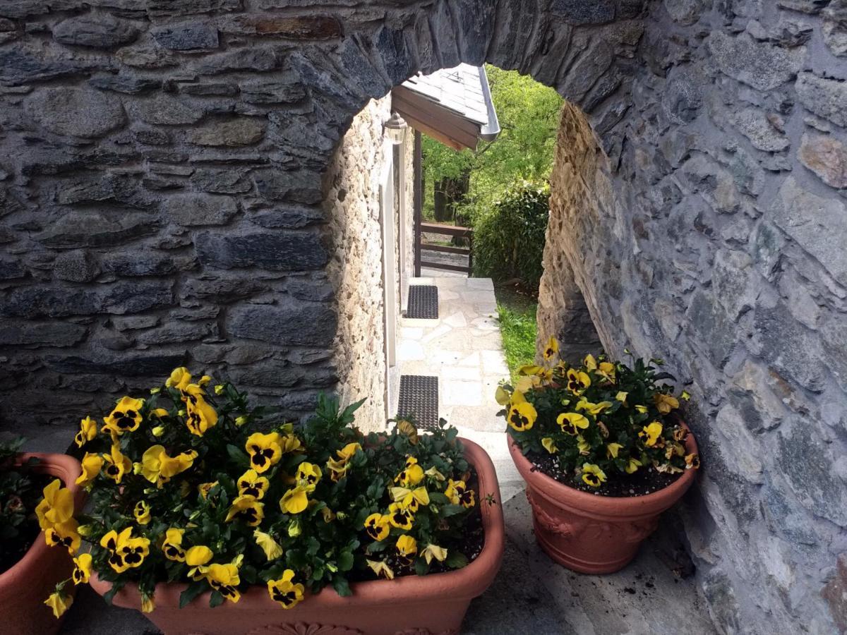 Agriturismo La Fonte Di Mariella Gravedona Exterior photo